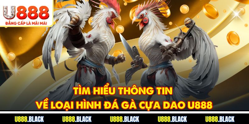 Tìm hiểu thông tin về loại hình đá gà cựa dao u888