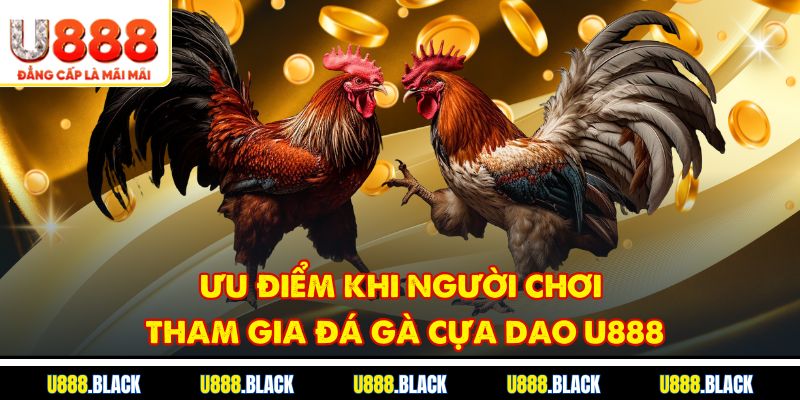 Ưu điểm khi người chơi tham gia đá gà cựa dao u888